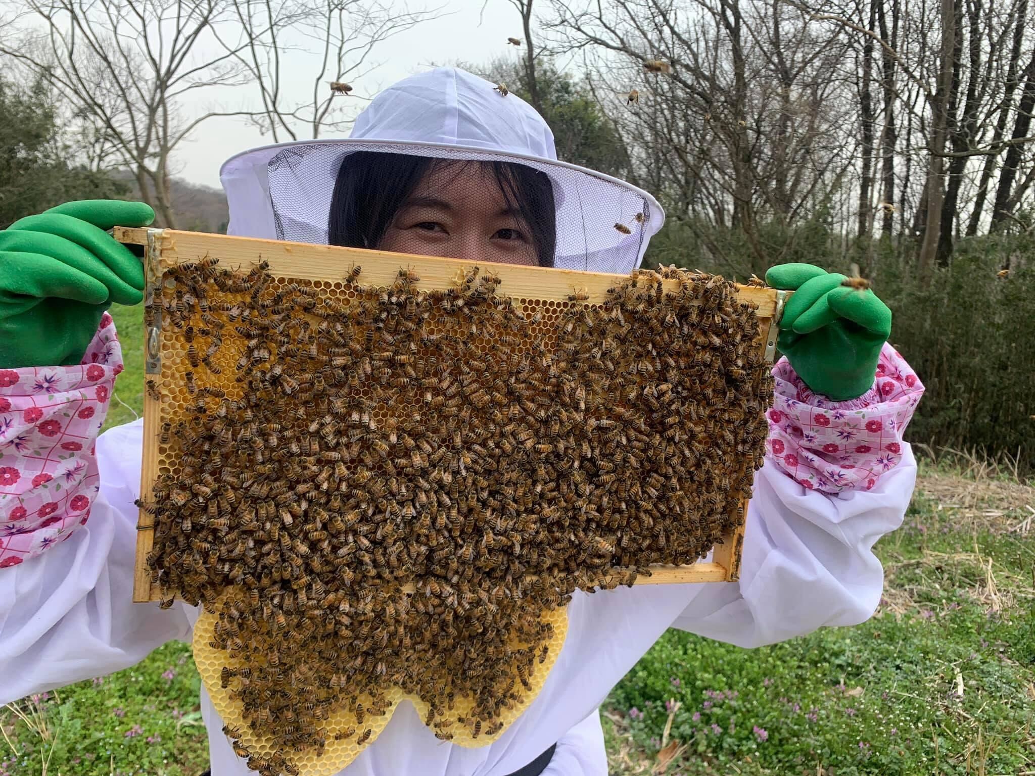 養蜂企画支援事業
